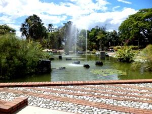 Santo Domingo giardino botanico