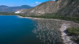 Escursioni Las Terrenas lago enriquillo