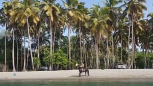 Passeggiata a cavallo nelle spiagge