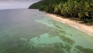 Spiagge Las Terrenas Playa Jackson