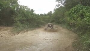 Tour in buggy